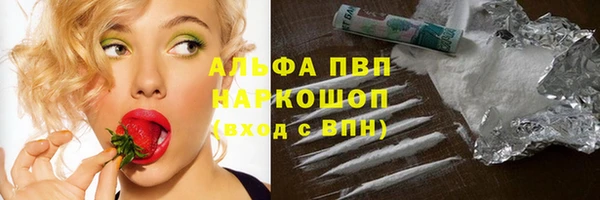 шишки Гусь-Хрустальный