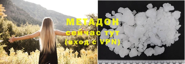 прущие грибы Медногорск
