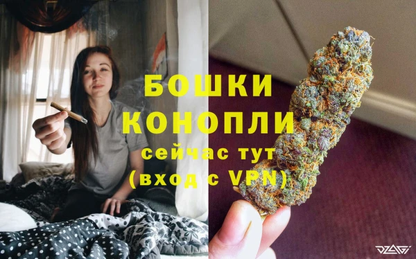 шишки Гусь-Хрустальный