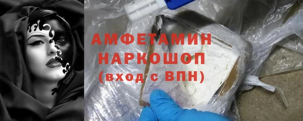 шишки Гусь-Хрустальный