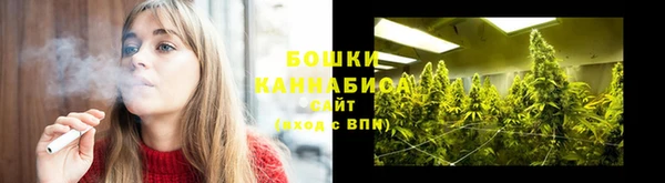 шишки Гусь-Хрустальный