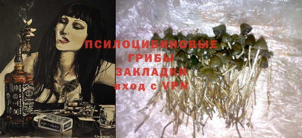 Альфа ПВП Гусиноозёрск