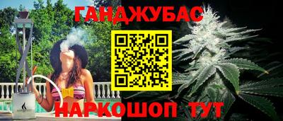 Альфа ПВП Бийск