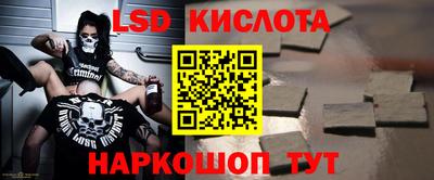Альфа ПВП Бийск