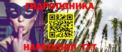 скорость Будённовск