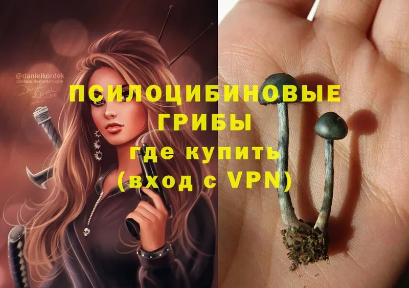 Псилоцибиновые грибы Psilocybe  MEGA как войти  Дзержинский  магазин продажи наркотиков 