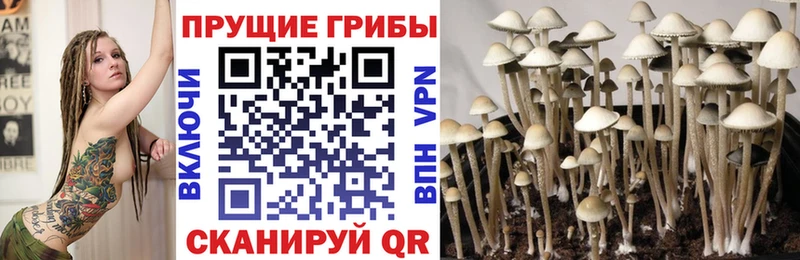 Галлюциногенные грибы MAGIC MUSHROOMS  что такое   Дзержинский 