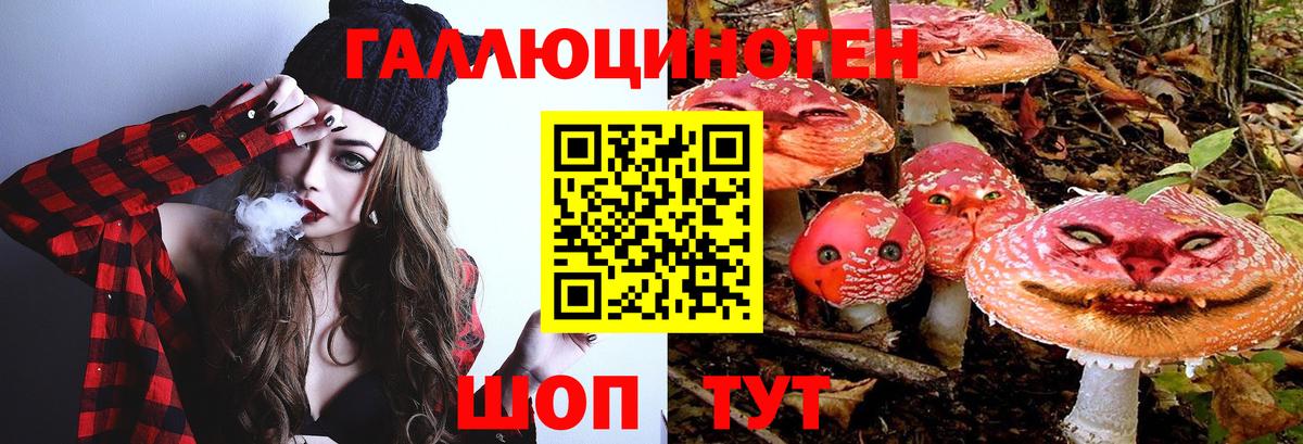 Галлюциногенные грибы прущие грибы Дзержинский